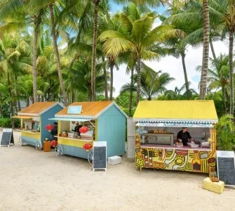 The Ravenala Attitude-1